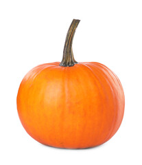 One whole ripe pumpkin isolated on white
