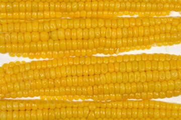 A close-up, top-down view of four rows of bright yellow corn kernels removed from the cob, set against a white background