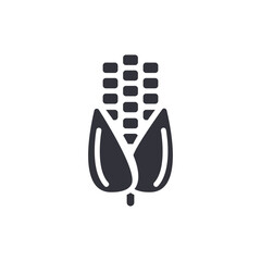 Simple Corn Cob Vector Graphic Isolated Ingredient Symbol