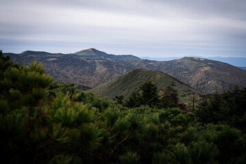 Fototapeta premium Distant Mountain Range Including Mount Kushigamine, Viewed Over Foreground Pines and Evergreens on Mount Hakkoda in Late Autumn (Aomori)