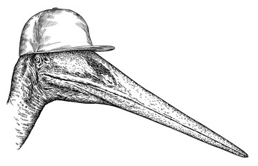 Vintage engraving isolated pterosaur glasses dressed fashion set illustration pterodactylus ink sketch. Flying dinosaur background silhouette Jurassic sunglasses hipster hat art. Hand drawn image