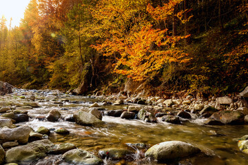Golden autumn forest reflecting in a rocky mountain river at sunset, with soft flowing water and warm light creating a peaceful natural atmosphere.