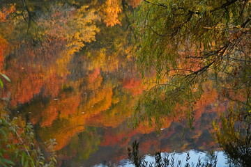 Soldier Lake. A lake in a mountainous area with different vegetation. Bright juicy autumn leaves, leaf fall and reflection in the water.