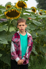 a sad boy has his arms folded and is standing next to a yellow sunflower
