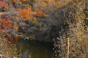 Soldier Lake. A lake in a mountainous area with different vegetation. Bright juicy autumn leaves, leaf fall and reflection in the water.