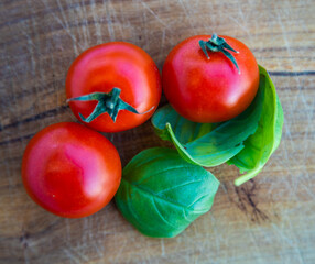 Pomodoro e Basilico