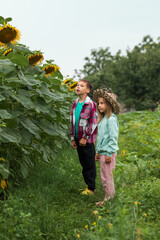 the older brother stands with his younger sister and looks up at the yellow flowers, showing them to his sister