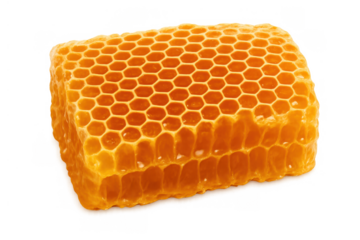 Honeycomb piece with golden liquid honey dripping, showing natural bee wax structure, transparent background