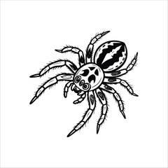 tarantula spider, creepy, haunting, dark, detailed, black and white, spooky, horror, vector art
