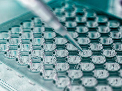 Pipette dispensing liquid in microplate for clinical genomics research