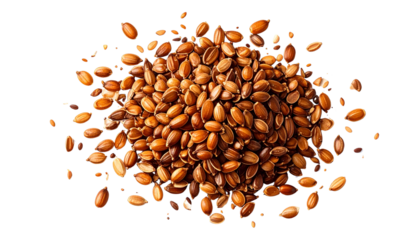 Detailed close-up of brown, textured seeds scattered isolated on solid white background in Png