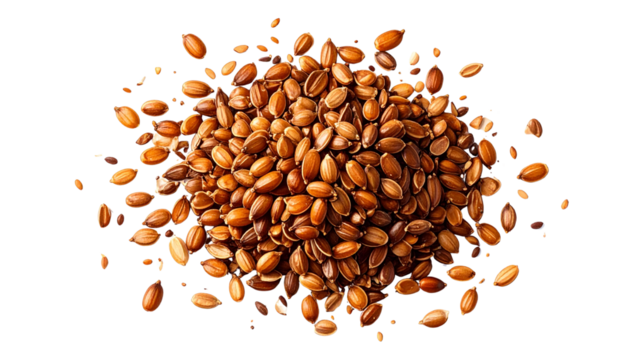 Detailed close-up of brown, textured seeds scattered isolated on solid white background in Png