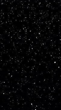 Light, delicate snow with small snowflakes, falling slowly and calmly. Vertical animation with isolated snow, seamless snowing loop, background is transparent (ProRes with alpha channel). 