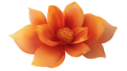 Abstract orange flower vector illustration with geometric petals, modern floral design element, decorative art pattern graphic isolated on white background
