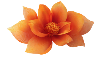 Abstract orange flower vector illustration with geometric petals, modern floral design element, decorative art pattern graphic isolated on white background