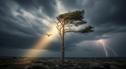 A solitary tree stands against a dramatic sky with lightning and a ray of sunlight