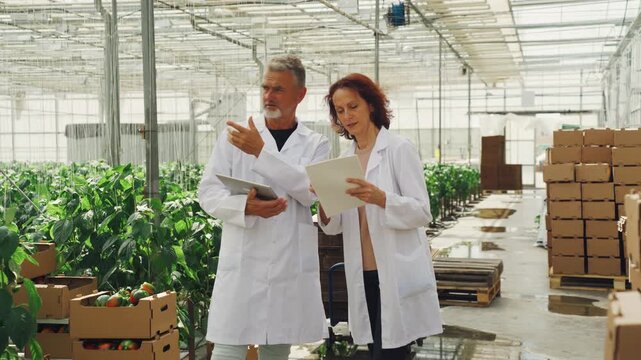 Stockpiled crates and digital tools optimize harvest distribution processes efficiently, Effective packaging strategies and digital planning tools streamline harvest distribution workflows