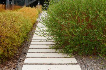 modern garden path with geometric stone slabs creates clean lines amid lush greenery and golden bushes. ideal landscape design showcasing symmetrical balance and natural elegance
