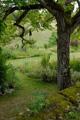 JARDIN DE LA DAILLE - 24-42190.JPG