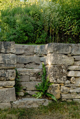 JARDIN DE L'ALBAREDE - 24-42177.JPG