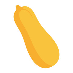 Simple flat illustration of a single ripe butternut squash on white background