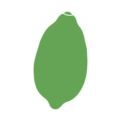 Simple green lime fruit silhouette isolated on a clean white background
