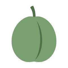 Simple flat illustration of a green plum with a stem on a white background
