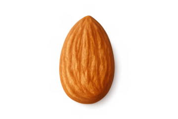 Healthy almond nut as a superfood ingredient illustrating nutrition, organic snack, and plant based diet