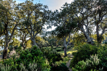 Beautiful landscape view from the north of Tunisia