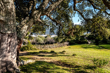 Beautiful landscape view from the north of Tunisia