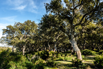 Beautiful landscape view from the north of Tunisia