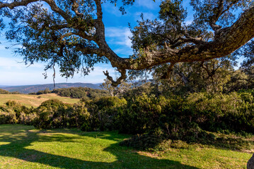 Beautiful landscape view from the north of Tunisia