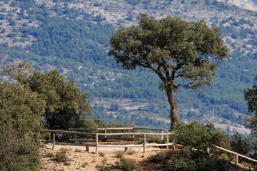 Naklejka premium Mirador en el parque natural Font Roja de Alcoy, España