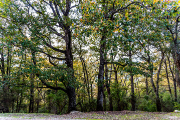 Beautiful landscape view from the north of Tunisia