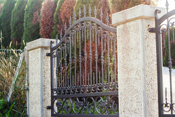 Ornamental Wrought Iron Fence. Metal Fence