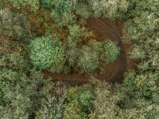 Ribeira Sacra de Galicia en Otoño