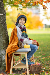 Adorable little child, boy in park on autumn day, beautiful sunny day, basket with apples