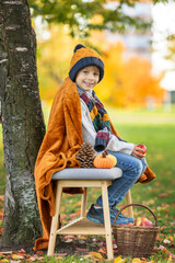 Adorable little child, boy in park on autumn day, beautiful sunny day, basket with apples