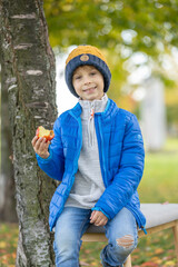 Adorable little child, boy in park on autumn day, beautiful sunny day, basket with apples