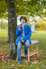 Adorable little child, boy in park on autumn day, beautiful sunny day, basket with apples