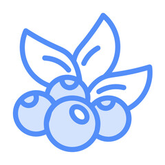 blueberries icon with lineal color style