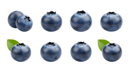 Fresh ripe blueberries isolated on white background in two rows with green leaves, perfect for healthy food and nutrition imagery