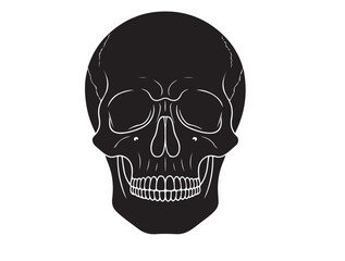 Bird Skull icon in silhouette white background.