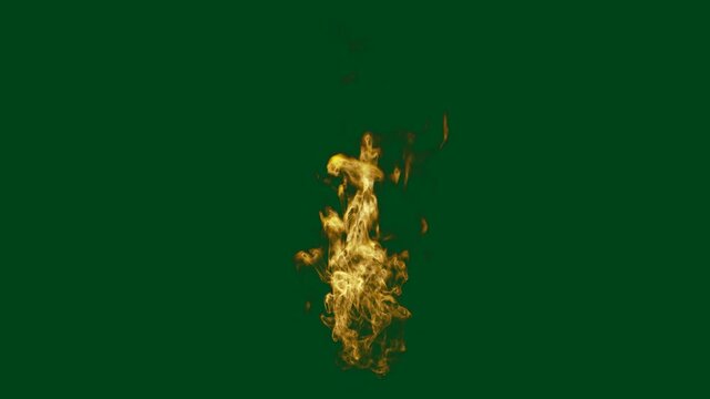 burning fire for a moment on green screen background 