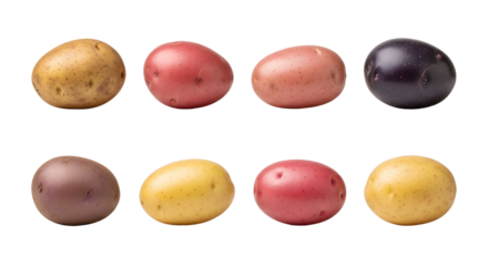 Colorful assortment of different potato varieties isolated on white background, fresh root vegetables perfect for cooking and farming content