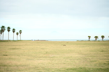 マリンパーク御前崎