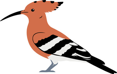 Flat Graphic Standing Eurasian Hoopoe Bird Illustration for Wildlife Design © Robet