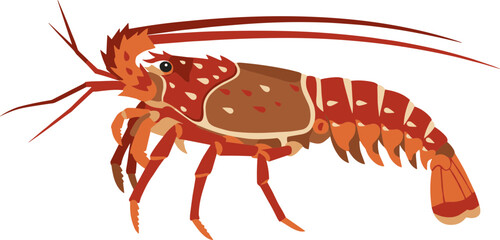 Flat Illustration Detailed Spiny Lobster Sea Creature Aquatic Wildlife Animal