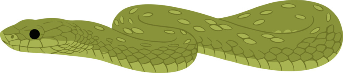 Simple Flat Illustration of Green Viper Snake with Unique Pattern Design
