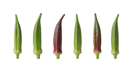 Close-up of fresh okra pods with green and reddish hues on a black background, perfect for cooking and healthy eating concepts